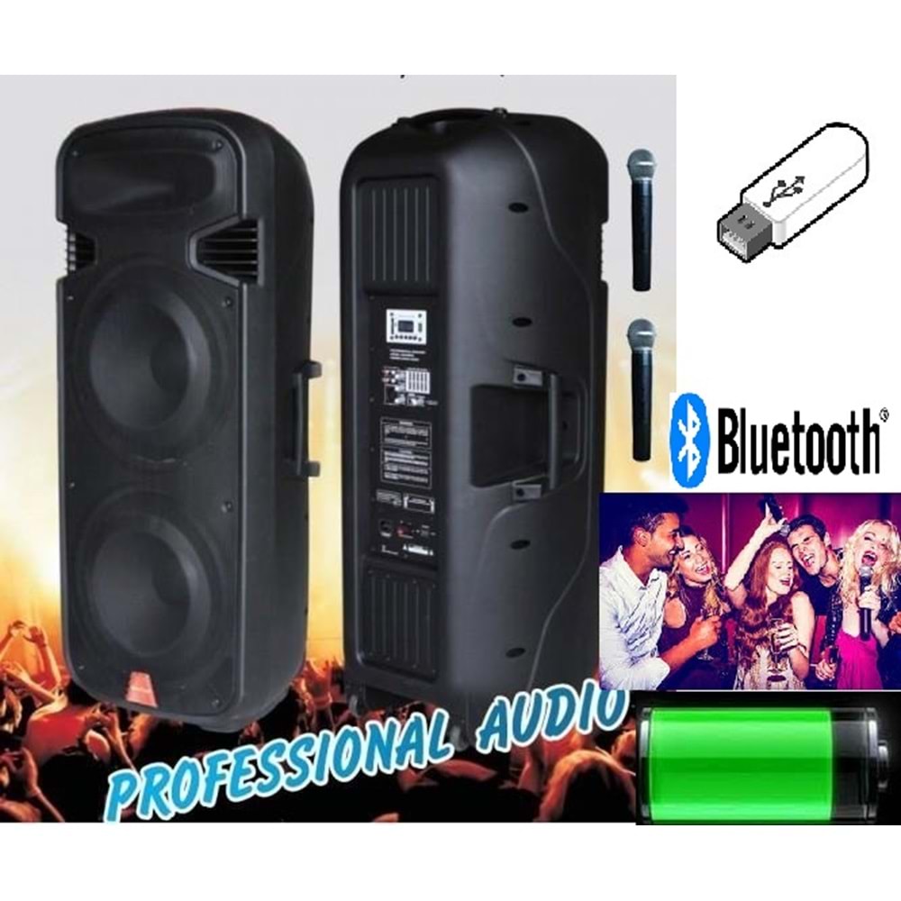 D-Sound Max-215Pa Aktif Plastik Kule Kabin Taşınabilir Şarjlı Hoparlör