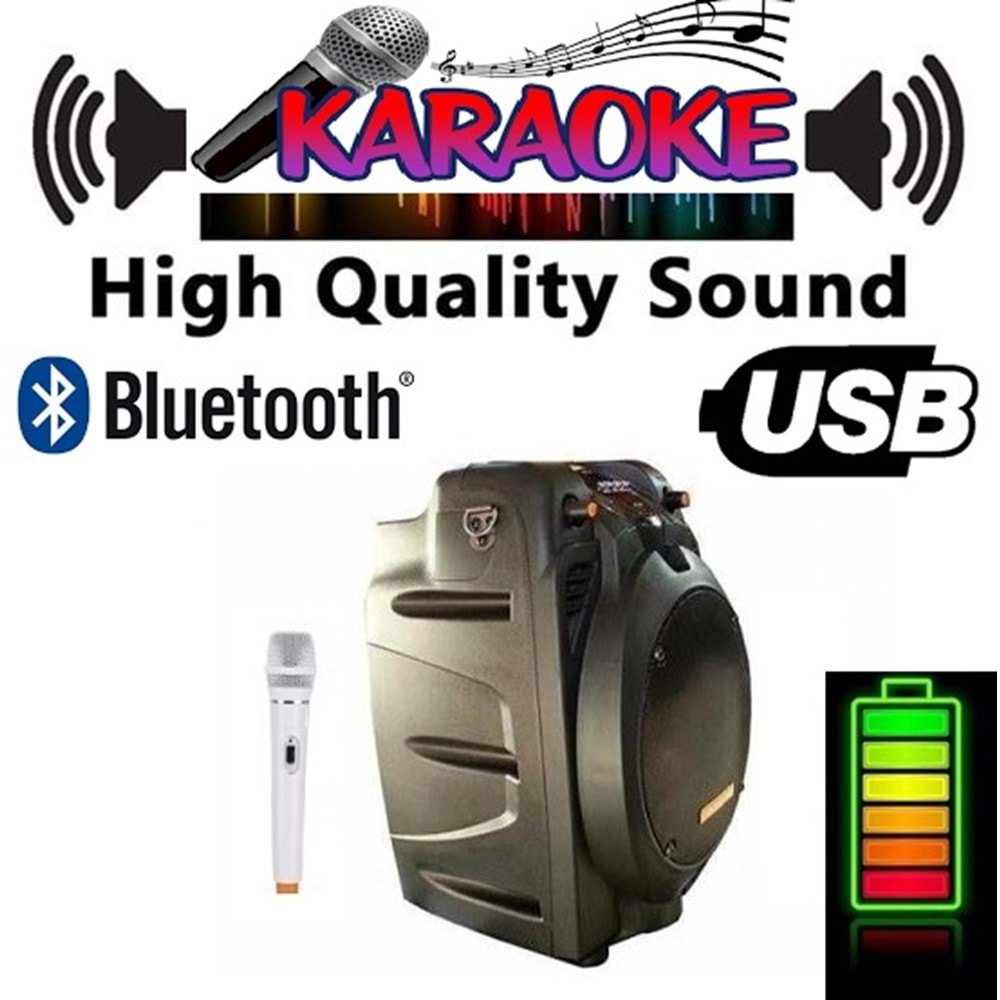 D-Sound Pa-065 130W Siyah Amfi Taşınabilir Şarjlı Hoparlör