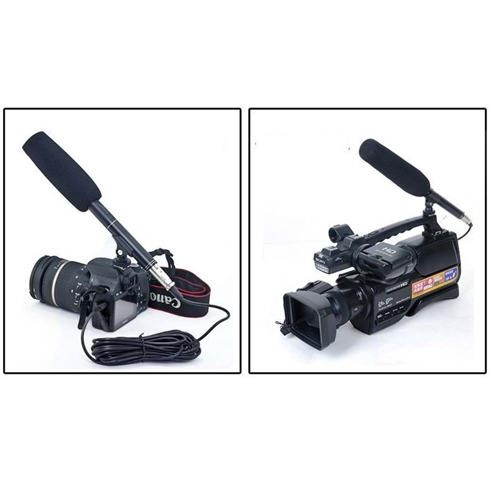 D Sound Ds-320E Okul Konferans Koro Tiyatro Mikrofonu