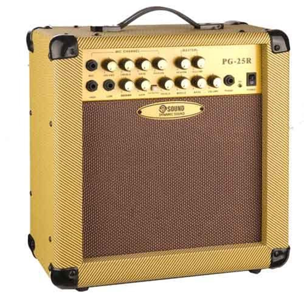 D-Sound Pg-25R Enstruman Amfisi