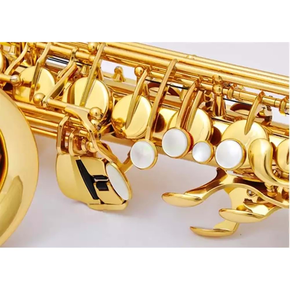 Müller Mas-1001 Alto Saxophone