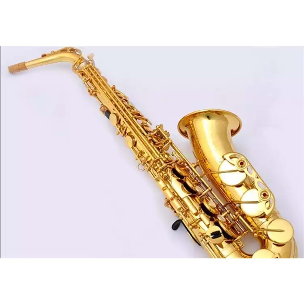 Müller Mas-1001 Alto Saxophone