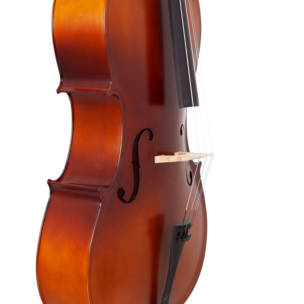 Bremen 4/4 Çello Tam Boy Bc-019F