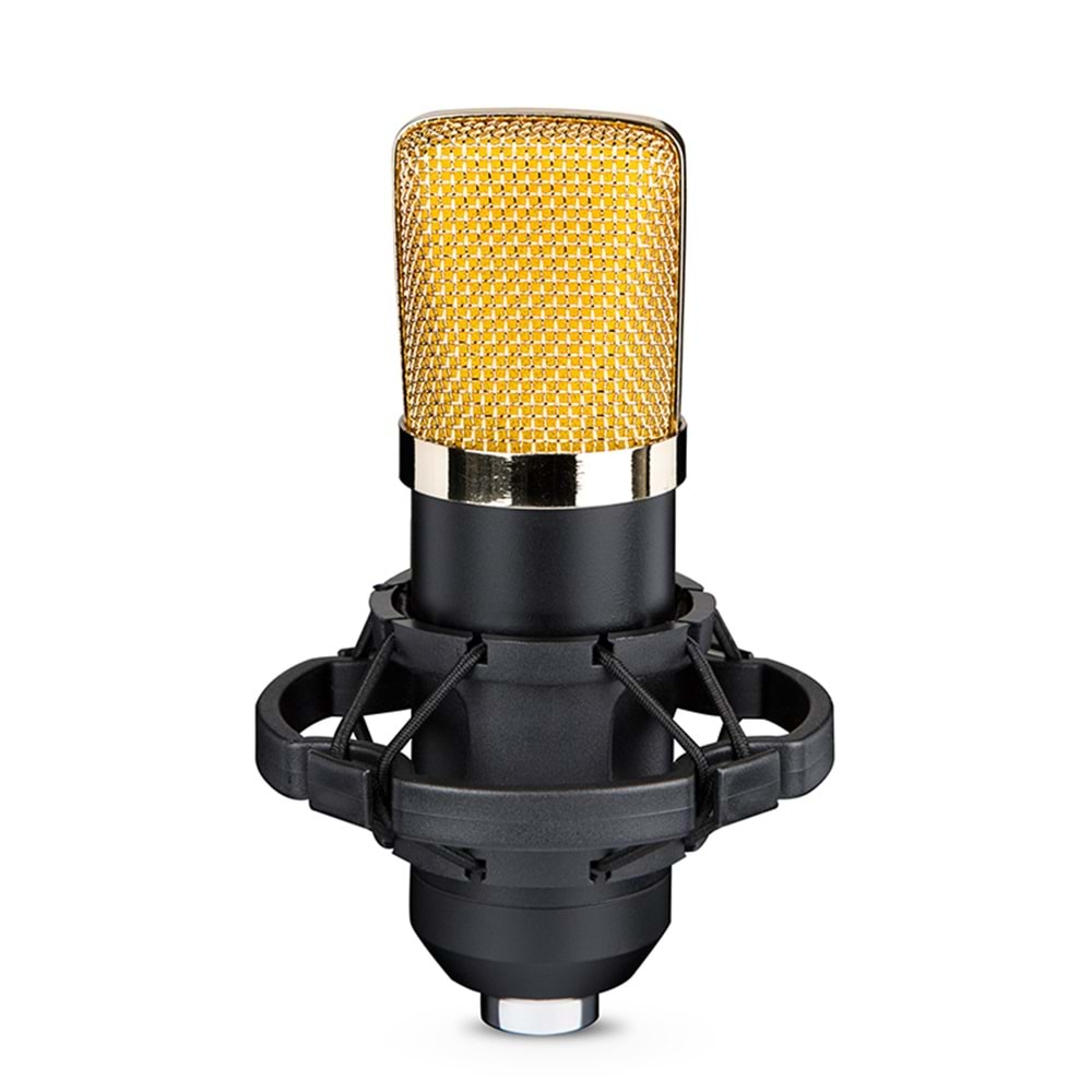 Oxid Kayıt Mikrofonu Bm-700 Set 35Mm Condenser Mikrofon