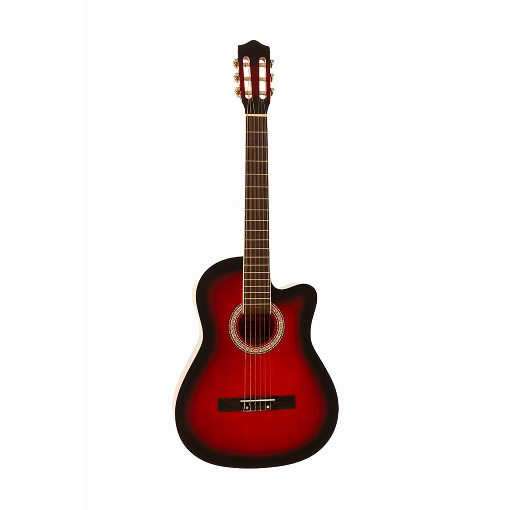 Carissa Cg-155C Rds Klasik Gitar