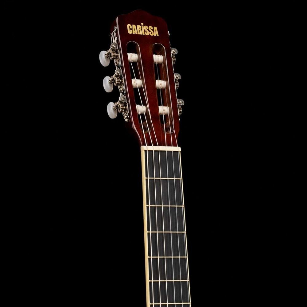 Carissa klasik Gitar CG-180C