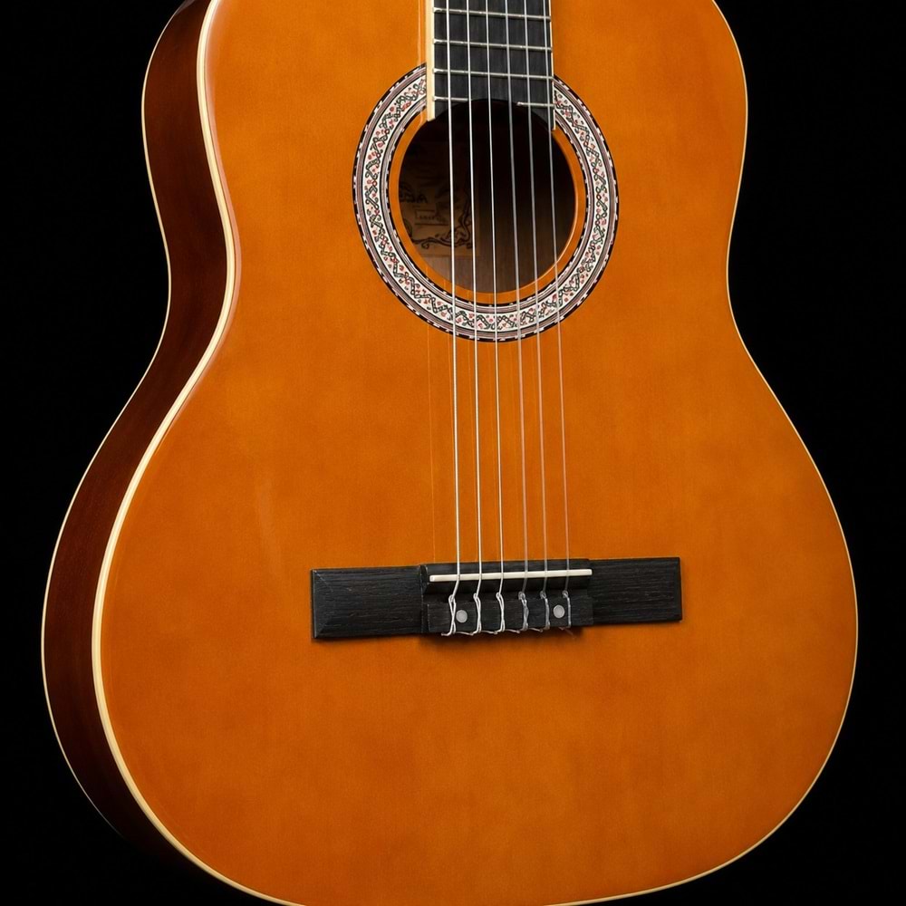Carissa klasik Gitar CG-180C