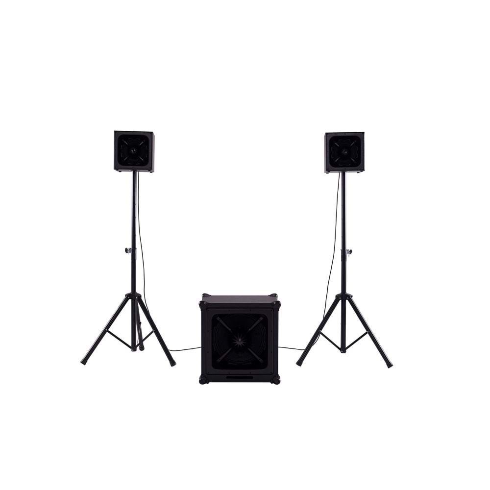 DSound ARY-1528 Subbass Hoparlör Seti