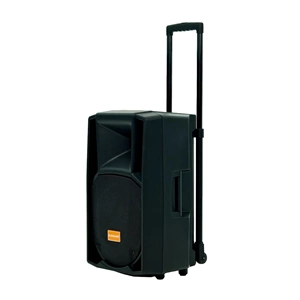 D-Sound Max-12Pa II Taşınabilir Şarjlı Hoparlör