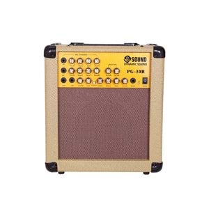 D-Sound Pg-30R Enstruman Amfisi