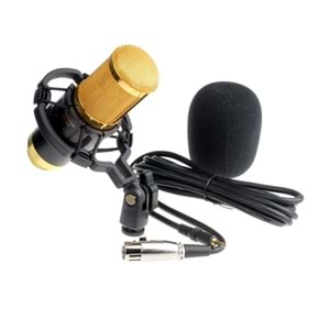 Oxid Bm-800 35Mm Condenser Mikrofon ve Ses Kartı Uyumlu Xlr-Xlr