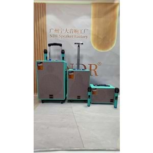 Ds-V8 Taşınabilir Şarjlı Hoparlör