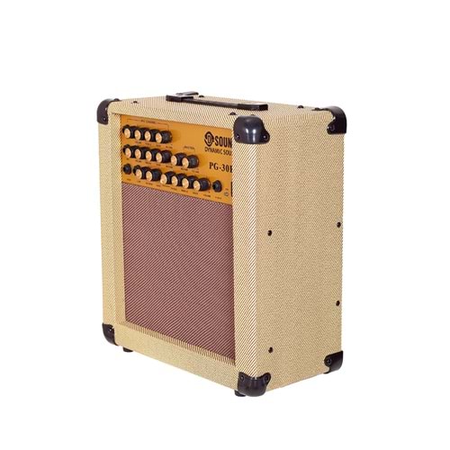 D-Sound Pg-30R Enstruman Amfisi