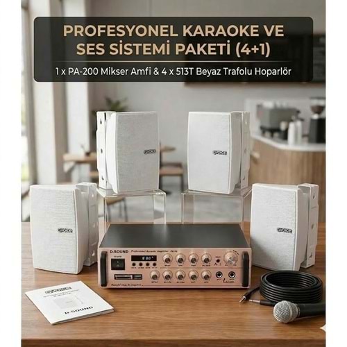 Pro-Stereo 4+1 Çift Bölgeli (Zone) Kafe & Mağaza Ses Sistemi