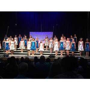 D Sound Ds-320E Okul Konferans Koro Tiyatro Mikrofonu