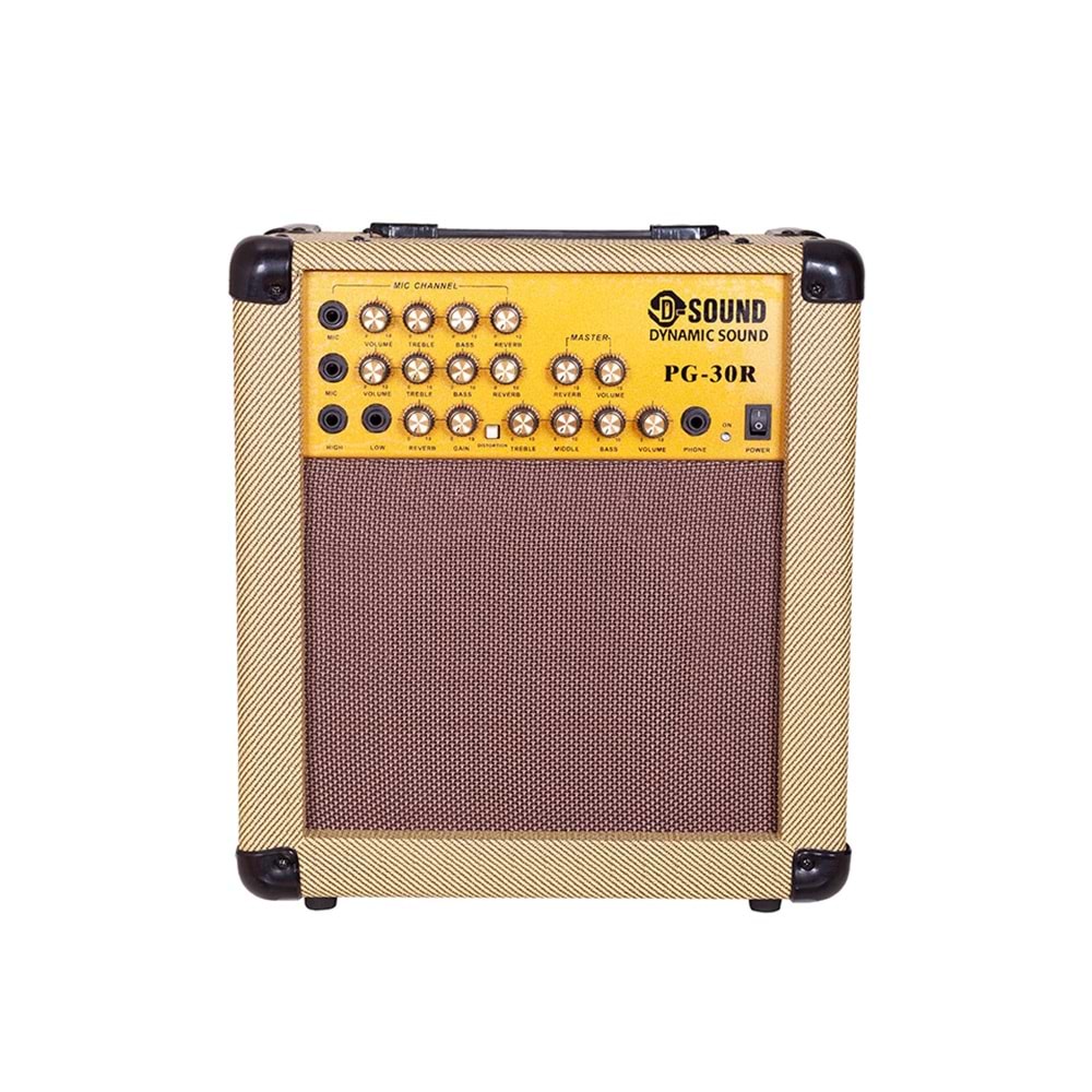 D-Sound Pg-30R Enstruman Amfisi
