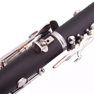 Castle Profesyonel Ccl-255 Sol Klarnet