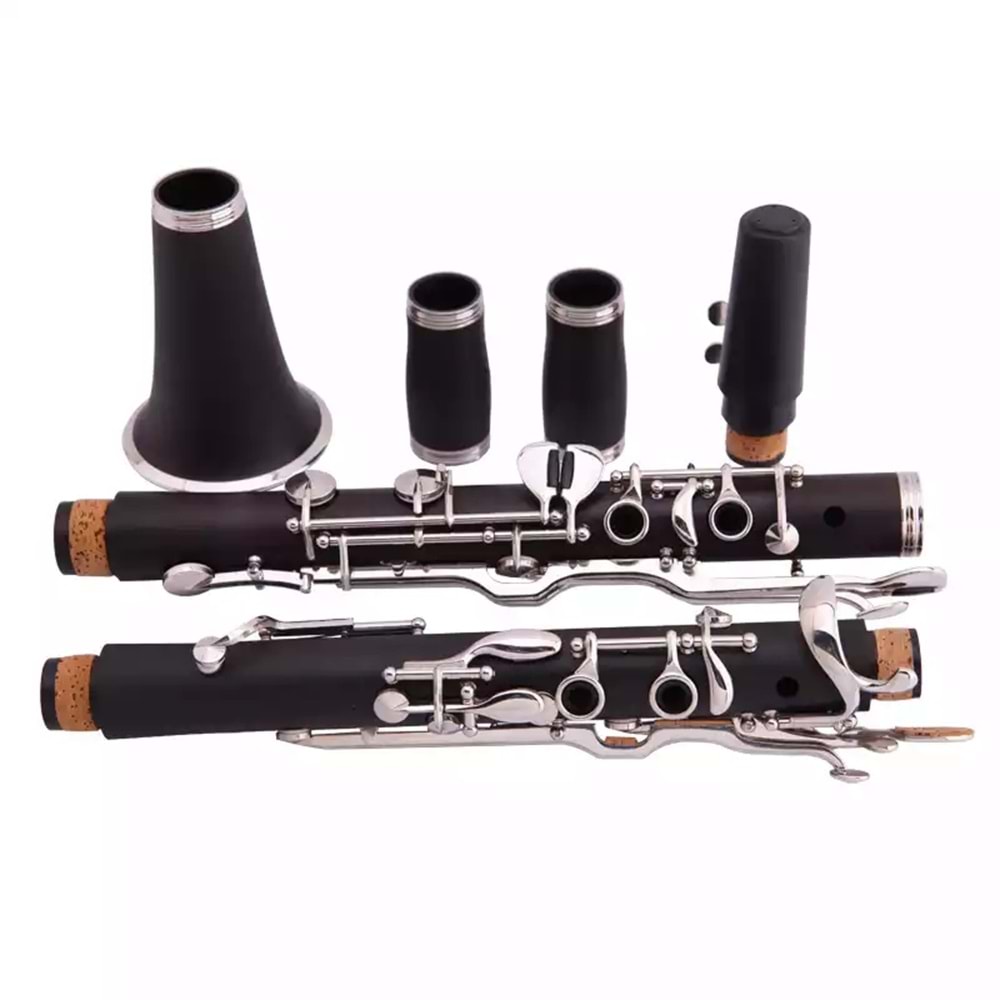 Castle Profesyonel Ccl-255 Sol Klarnet