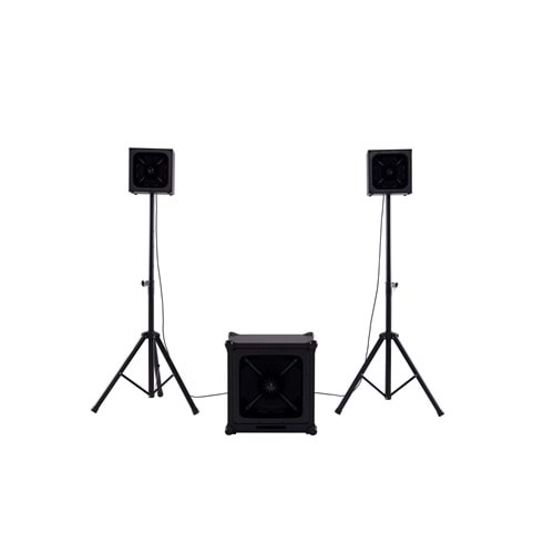 DSound ARY-1528 Subbass Hoparlör Seti